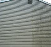 A house with a lot of dirty siding